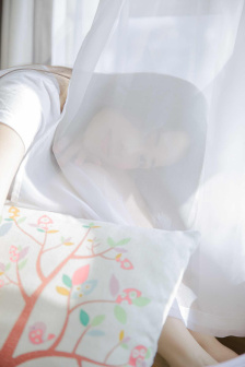 枪花下载